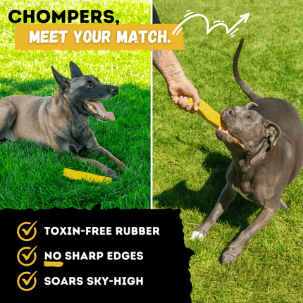 Power Stick – Indestructible Rubber Chew Stick