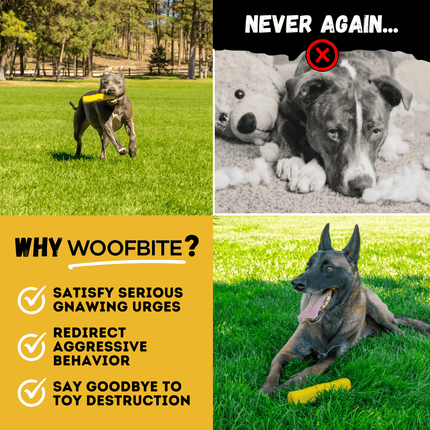 Power Stick – Indestructible Rubber Chew Stick