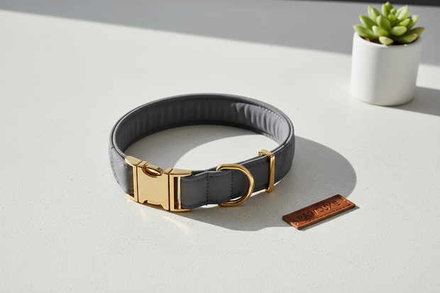 Premium Pet Collar