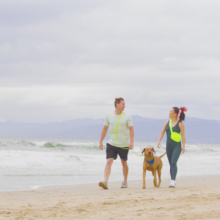 Waterproof PVC Hands-Free Dog Leash by Tilley + Me video