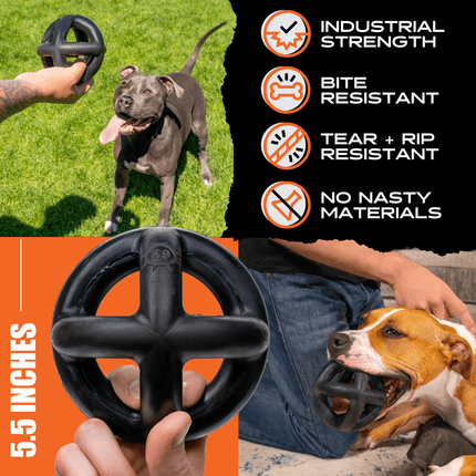 Dog toy with text highlighting features, shown being used by dogs outdoors.