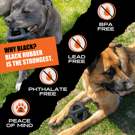 Two dogs with a black rubber toy, surrounded by text and icons indicating product features.