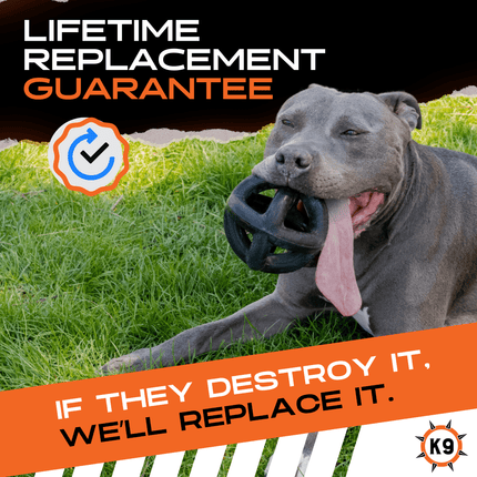 Dog playing with a toy on grass, promotional text about a lifetime replacement guarantee, and K9 logo.