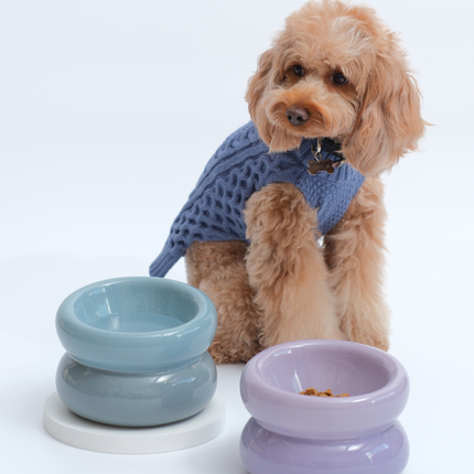 Dog wearing a blue sweater with two ceramic bowls, one blue and one purple, on a white background.