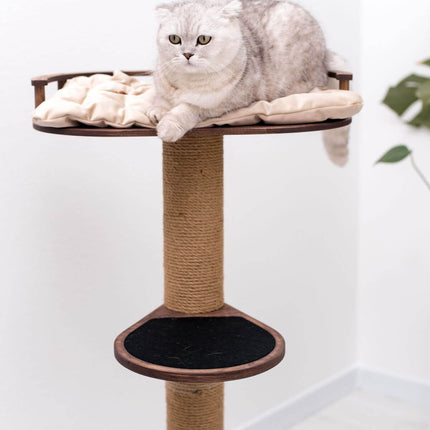Cat lounging on a cat tree with a white background