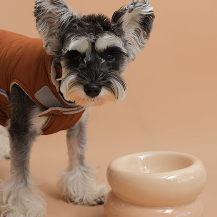 Small dog in a brown coat standing next to a beige ceramic bowl on a beige background