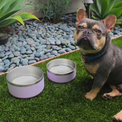 Tilley + Me Stainless Steel Pet Bowl - 32 oz & 64 oz