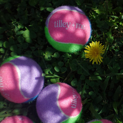 Colorful tennis balls with 'tilley+me' branding on grass with a dandelion.