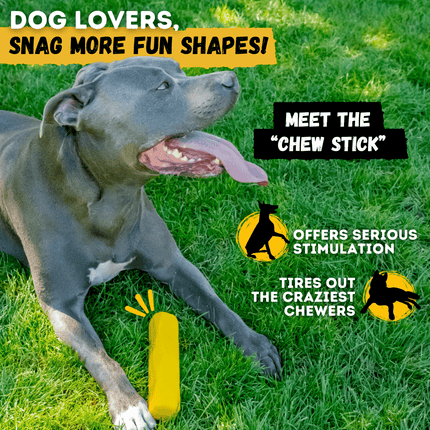 Dog playing with a chew stick on grass, promotional text about the product.