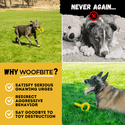 Dog playing with a toy on grass, followed by images of dogs with chewed-up toys and text about Woofbite product benefits.