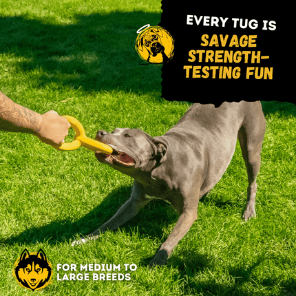 Dog playing tug with a yellow toy on grass, with text about the product.