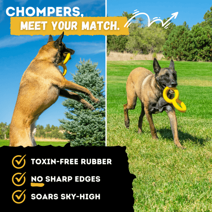 Two dogs playing with a yellow toy outdoors, with text highlighting product features.