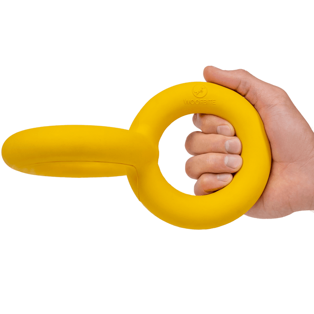 Hand holding a yellow dog toy with a white background