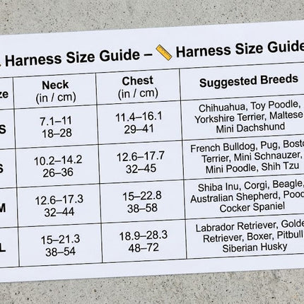 Harness size guide with a dog harness on a concrete surface
