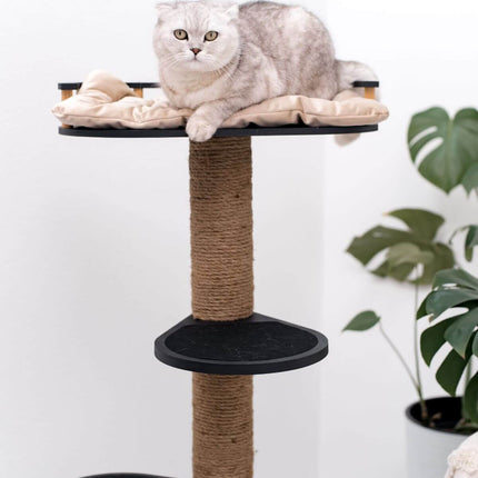 Cat lounging on a cat tree with a white background and plant in the corner